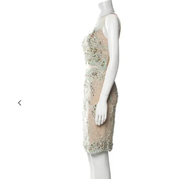 NWT Terani Couture Beaded Lace Sheath Dress XS Sparkle Embellished Nude Mint